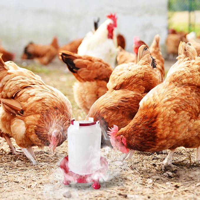Heated Chicken Waterer for Winter, Heated Chicken Waterer 3L Thicken Plastic, Removable Water Heater with Leg Support & Handle, Poultry No Waste for Coop