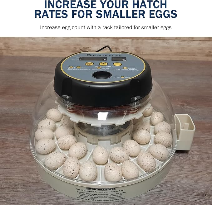 Egg Trays for Kebonnixs Egg Incubator (Various Sizes) (Small (Quail/Bird))