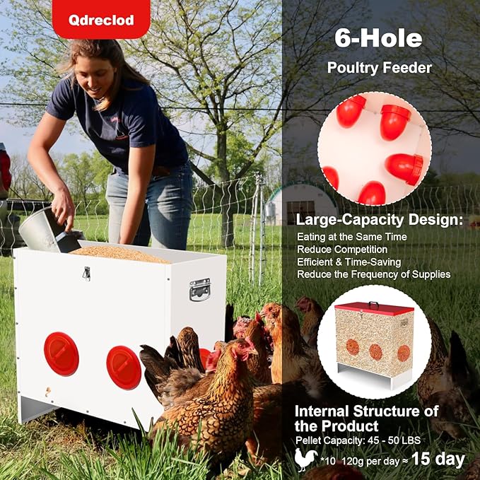 Professional Automatic Chicken Feeder (50LB) - 6 Port Metal Chicken Feeder，Large Capacity Automatic Poultry Feeder System, No Waste Poultry Feeder with Locking Lid for Chickens, Ducks&Poultry