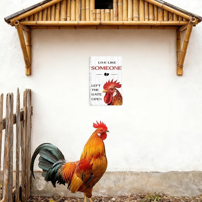 Chicken Kitchen Decor Funny Chicken Gifts Kitchen Wall Decor Farmhouse Country Garden Sign For Yard Home Hen House 8×12 Tin Sign