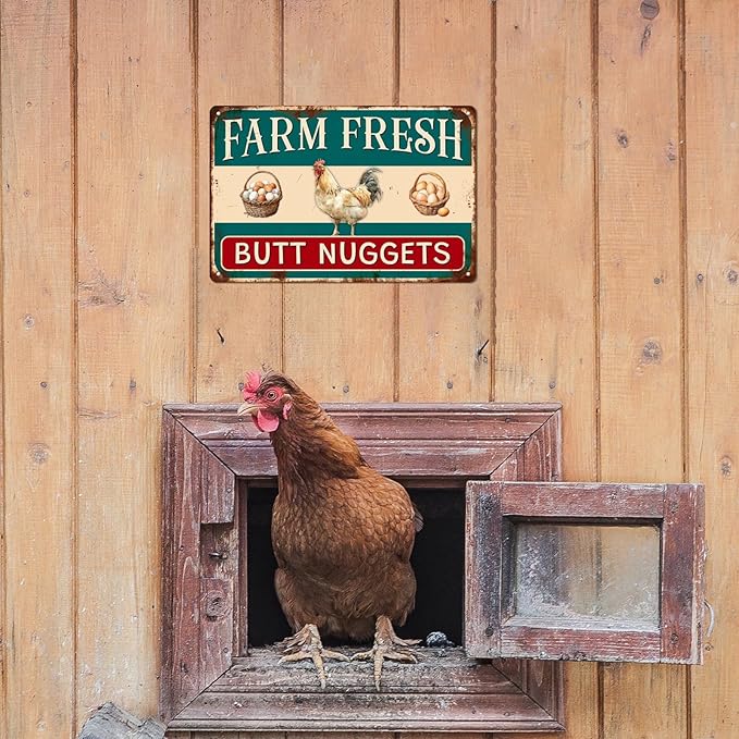 Farm Fresh Butt Nuggets Metal Tin Sign Funny Chicken Coop Sign For Farmhouse Coop Funny Outdoor Chicken Yard Wall Decor 8x12 Inch