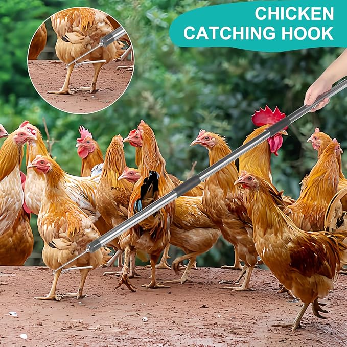 Chicken Catcher, Adjustable from 29 inches to 74 inches Chicken Net,Chicken Leg Hook, Suitable for Catching Outdoor Animals Such as Chickens, Ducks, Fishnet,Geese,Birds (15.3 x 23.2 inch net)