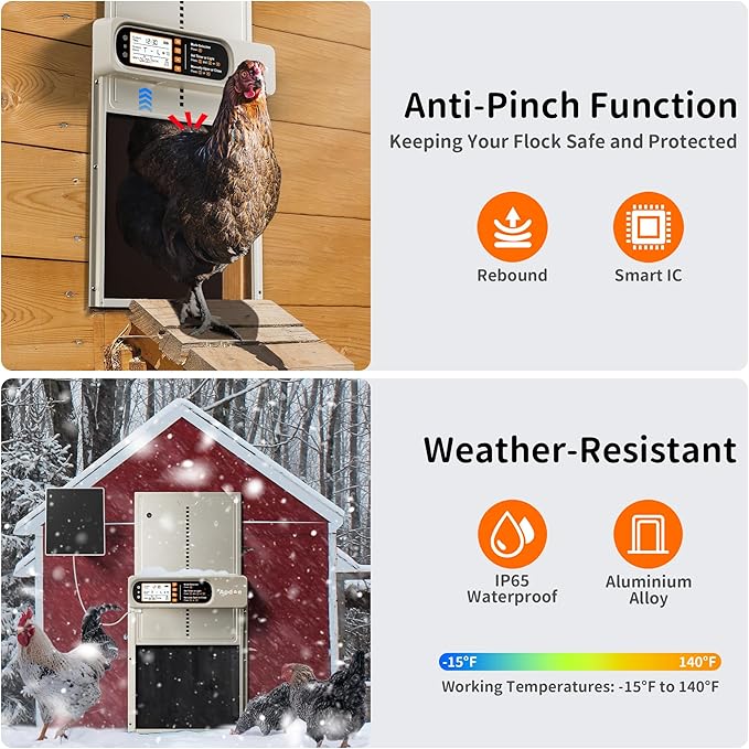 Automatic Chicken Coop Door Solar Powered with Timer, Light Sensor, Remote Control, Anti-Pinch, Waterproof, Aluminum Coop Door, 4 Auto Modes, Comfort Larger Size Duck Chicken Turkey House Door