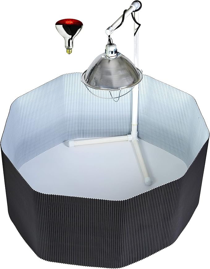 Deluxe Chick BROODER KIT Poly Corral Pen & Bulb & LAMP & Stand for Baby Chickens