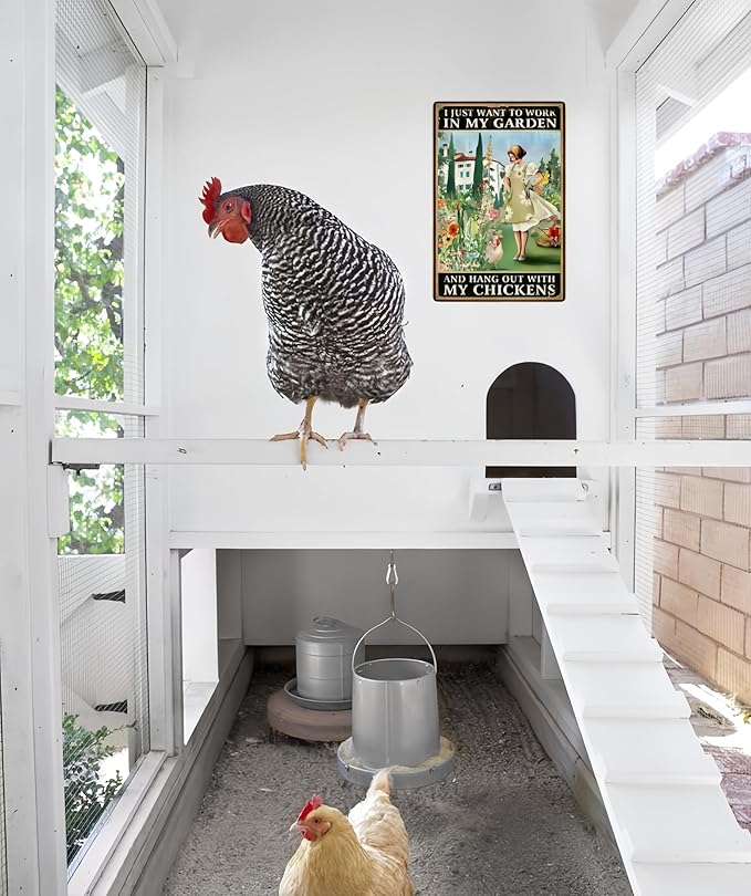 Rustic Garden Chicken Coop Sign, I Just Want to Work in My Garden and Hang Out with My Chickens, 8 x 12 Inches