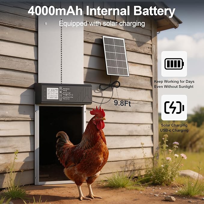 Larger Size Automatic Chicken Coop Door Solar Powered, 4000MAh Internal Battery Automatic Coop Door Anti-hit Side Charging Port, Automatic Chicken Door with Timer, Light Sensor 4Modes & Remote Control