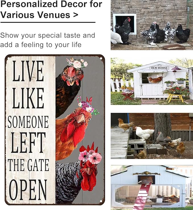 Chiken Gifts Vintage Chicken Sign Live Like Someone Left The Gate Open Tin Sign for Home Chicken Coop Farm Fence Kitchen Bathroom Bedroom Decor 8x12 Inches (3298)