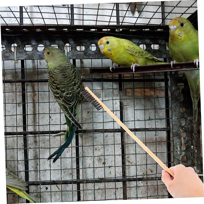 2pcs Bird Cage Brush Chicken Manure Shovel Set Reptile Cage Cleaner for Pet Supplies