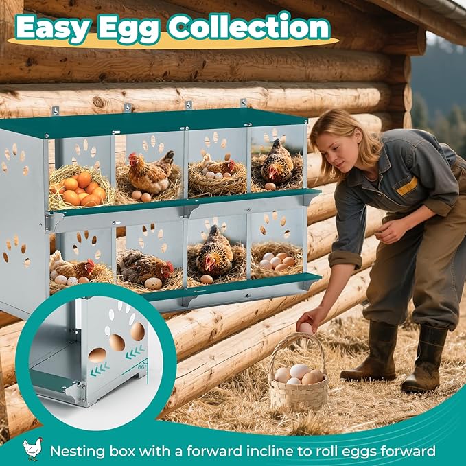 Chicken Nesting Boxes, Wall Mountable Metal Chicken Coop Nesting Box, Easy Egg Collection Roll Away Nesting Boxes Chicken, Roosting Boxes for Chickens, 8 Compartments