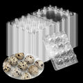 60 Pcs Quail Egg Cartons, Square Dozen Egg Boxes, Classical 3x4 Style Holds Up to Twelve 12 Count Small Quail Eggs Basket, Bulk Carton Quail Egg Tray Container for Refrigerator