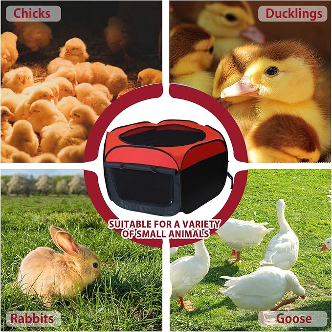 Chick Brooder Box, Foldable Chicken Brooder Box for Chicks, Pop-Up Baby Chicken Cage Supplies Brooding Up to 15 Baby Chick, Duck and Quail, Starter Kit with Storage Bag, Fixed Pegs, Waterproof Mat