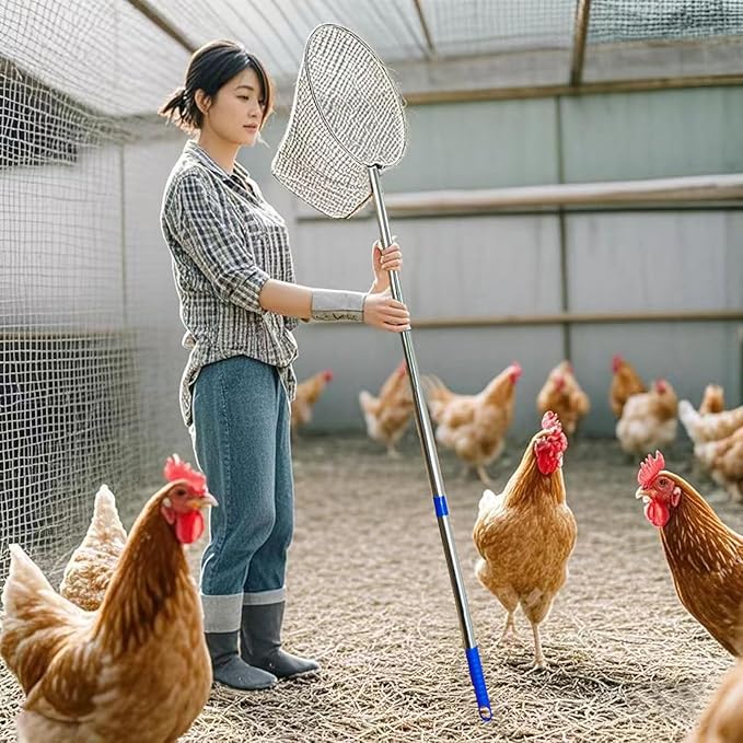 Chicken net Catcher Stainless Steel Poultry net, Ideal for catching Birds, Chickens, Ducks, Fish, Geese, etc. in Chicken coop or Outdoors, Fishing net with Handles(Including 2 nets and 1 Pole)
