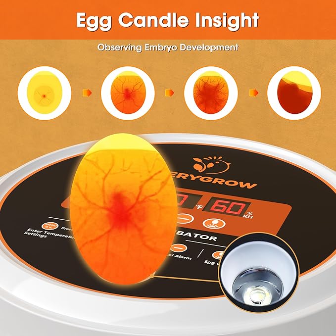 Incubators for Hatching Eggs, 22 Eggs Smart Incubator with Automatic Egg Turning and Humidity Control, Automatic Water Adding for Hatching Chicken, Duck, Quail Goose [2025 Upgrade]