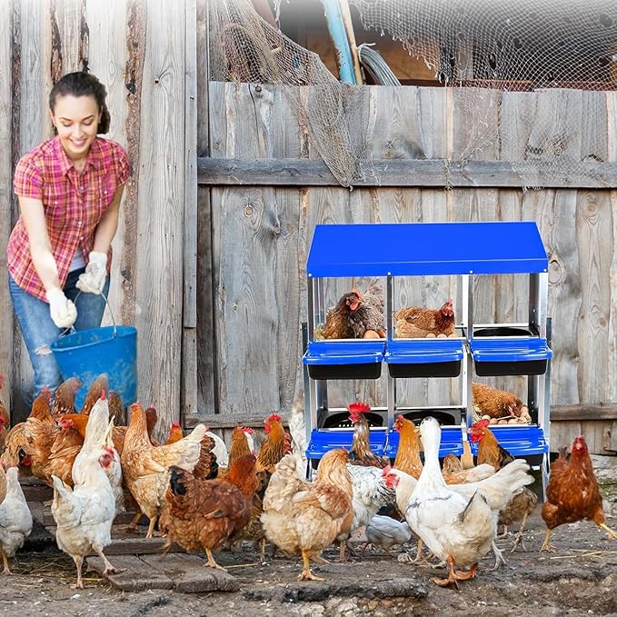 Chicken Nesting Box, 6 Hole 2 Layer Hen Nest Boxes with Legs, Roll-Away Egg Collection System with Ventilation Holes，Rustproof Plastic Tray & Keyhole Mounting, Chicken Laying Box