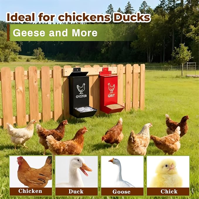 2-Pack Metal Chicken Grit Feeder & Oyster Shell Feeder with Lid-Heavy Duty Hanging Automatic Gravity Poultry Feeder-Chicken Coop Accessories-No Waste Feeders for Hens, Ducks, Quail