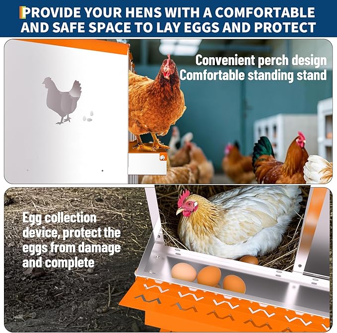 Chicken Nesting Box with Removable Tray, 8 Compartment Nesting Boxes for Chickens, Easy to Clean and Install, Durable Chicken Laying Boxes for Chicken Coop, Protects Eggs(Orange)