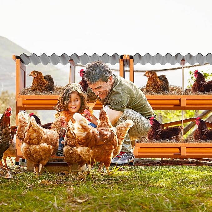 Chicken Nesting Boxes,10 Compartments Wooden Nesting Boxes for Chickens,Laying Boxes for Hens Ducks Poultry Protect Eggs Chicken Coops Easy Egg Collection (10 Hole)