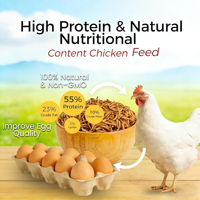 RANZ 10LBS Non-GMO Dried Mealworms for Chickens, High Protein Meal Worms, Premium Chicken Feed, Perfect Bird Food and Chicken Treats, Whole Large Mealworms for Wild Birds, Ducks, Fish