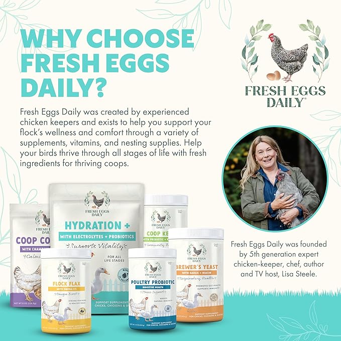 Fresh Eggs Daily Poultry Electrolyte Powder - Hydration Support Drink Mix with Probiotics for Chickens & Ducks - Natural Supplement for Environmental Challenges, Immune Health & Egg Quality - 8 Oz