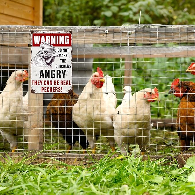 Chicken Coop Vintage Metal Tin Sign Warning Do Not Make The Chickens Angry Funny Outdoor Sign for Farm Wall Decor 12 * 8inch