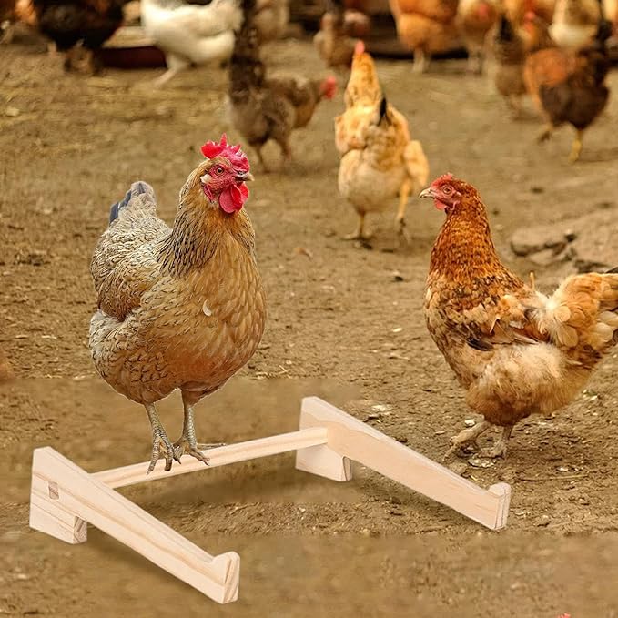 Chicken Roosting Bar, – Wooden Pets Perch Stand, Hen Chicks Birds Parrot, Play Perching Training Support Brooder | Hen Chicks Birds Parrot Play Perching Training Support Brooder Coop