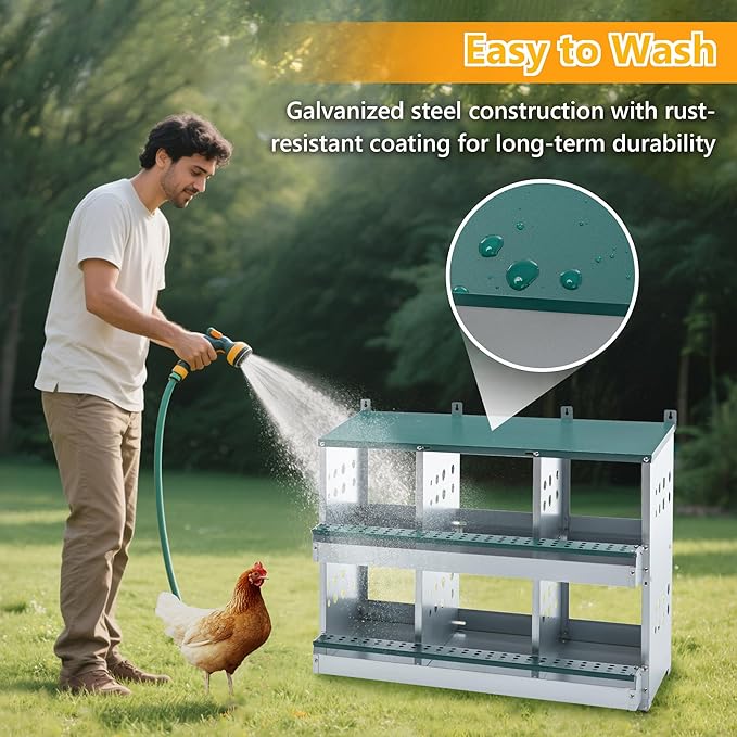 Nesting Box for Chickens Laying Eggs,Roll Away Chicken Nesting Boxes with 6 Compartment,Wall Mountable Metal Chicken Nesting Box,Roll Out Nesting Boxes for Hens,Green