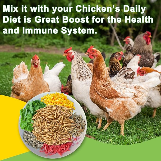 10LB Dried Black Soldier Fly Larvae Treat for Chicken, 100% Natural Non-GMO More Calcium Than Dried Mealworms High Protein Chicken Feed for Birds, Ducks, Layer Hens