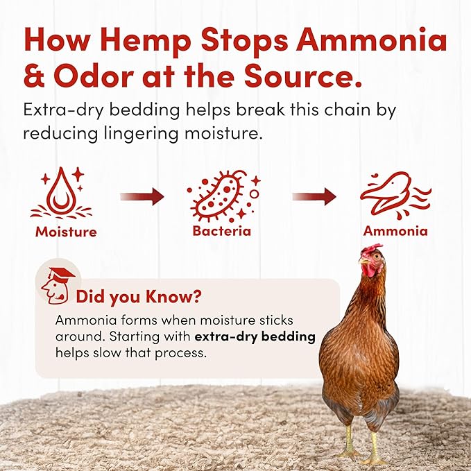 RentACoop Extra-Soft Premium Hemp Bedding 300L – Super Absorbent, Low Dust, Natural Odor Control for Chicken Coops, Nest Boxes, Small Animals, Reptiles & Horses