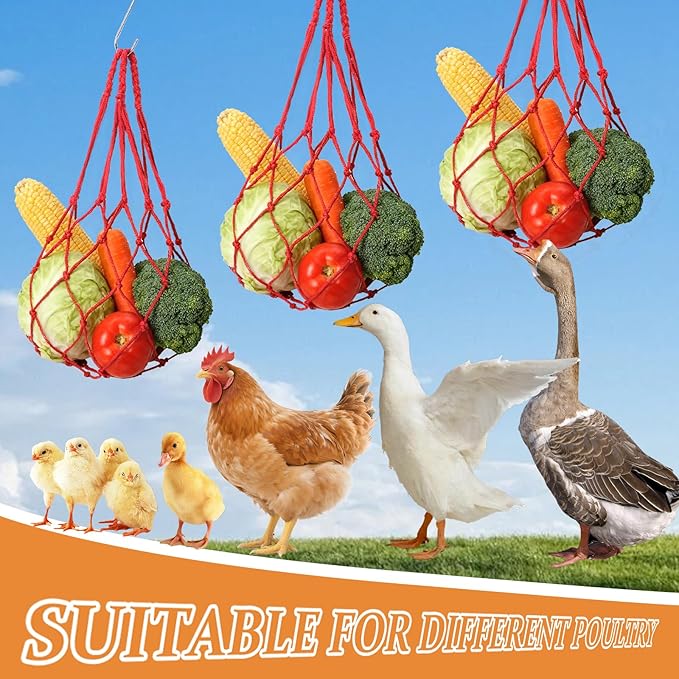 3 PCS Hanging Chicken Feeder for Vegetable Fruit,Chicken Foraging Toy with Stainless Steel Hook,Treat Dispenser Poultry, Hens, Duck