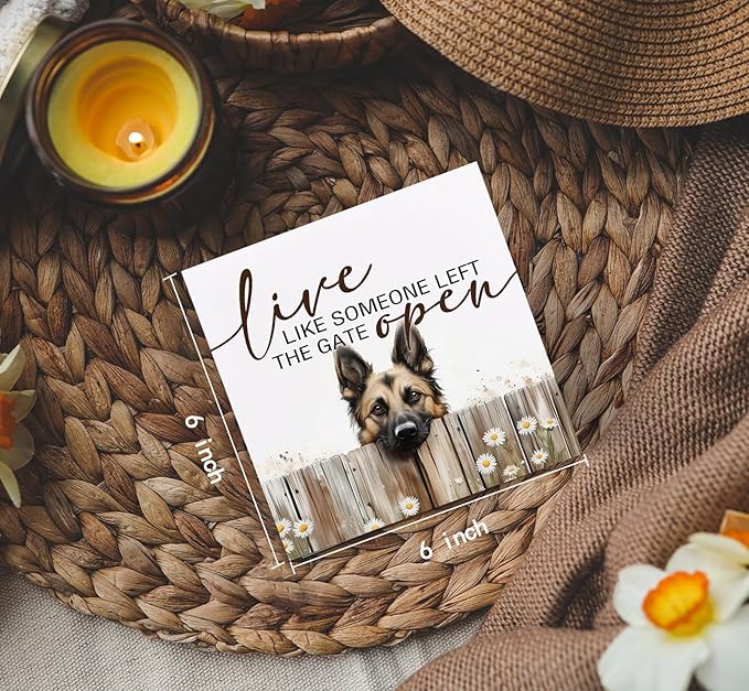 Belgian Malinois Signs - Farm Cottagecore Animal Office Kitchen Bedroom Decor,Rustic Farmhouse Live like Someone Left the Gate Open Home Decor Signs,Belgian Malinois Gifts for Women,6x6