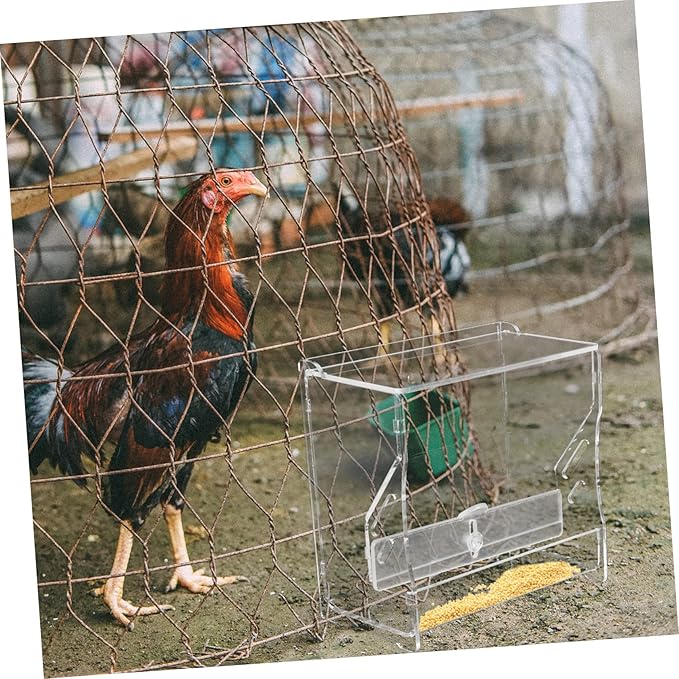 Automatic Chicken Feeder Acrylic Food Bowl Rutin Chicken Cage Feeding Tool for Parrots and Birds PET Breeding Supplies