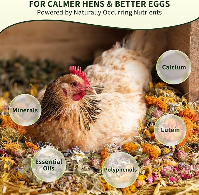 Chicken Nesting Herbs 32 oz – 11 Natural Dried Herb Blend with Marigold for Chicken Coop & Roost Refresh, Nesting Box & Dust Bath, Supports Natural Nesting Behavior