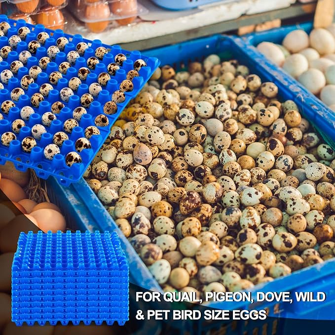 10 Pcs 90 Egg Plastic Trays Quail Egg Flats Holder for Quail Pigeon Dove Bird Flat Carton (Blue)