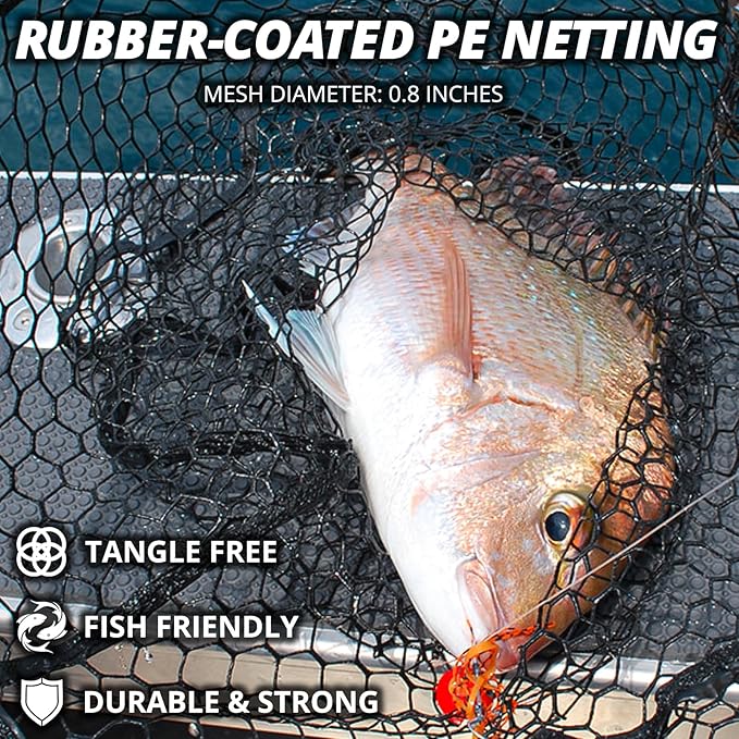 Large Telescoping Fishing Net, Folding Landing Net with Long Handle, Rubber Netting, Lightweight, Length 56″-75″, Hoop Size 20″ x 19″, Depth 20″, 25 lbs. Capacity