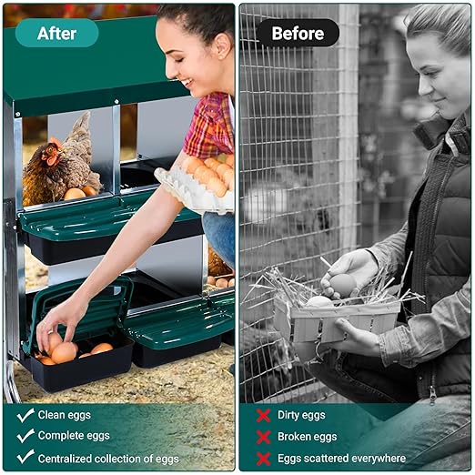Garvee Chicken Nesting Boxes, 10 Hole Chicken Laying Box with Removable Trays and Roll Out Egg Collection for Chicken Coop, with Metal Legs, Green