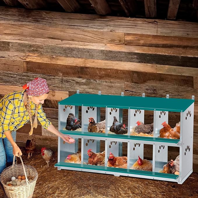 Chicken Nesting Box, 10 Compartment Nesting Box, 10 Room Metal Nesting Boxes for Chicken, Green