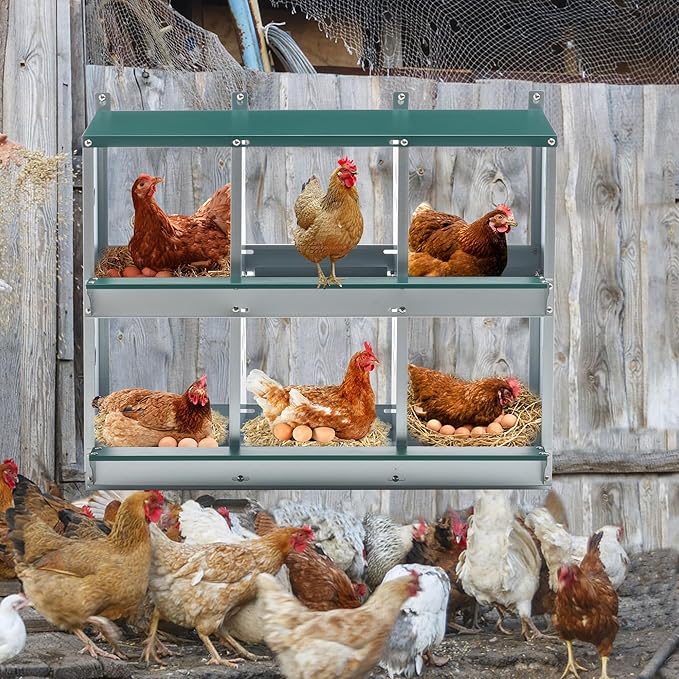 Chicken Nesting Box for Laying Eggs, 6 Rooms Chicken Nesting Boxes,Wall-Mounted Metal Roll Out Poultry Nest Box, Vented Holes Chickens Coop Case Laying Boxes to Collect Eggs
