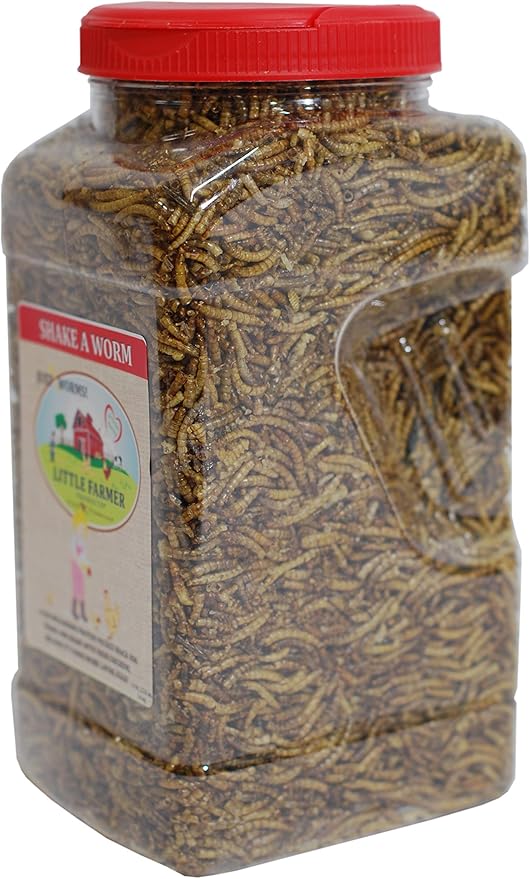 Shake A Worm | Dried Mealworms in a Reusable Shaker | Premium Poultry Treat for Chickens | 1.3 lb