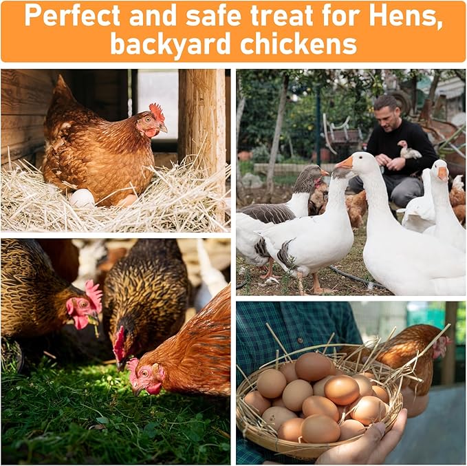 MAQIHAN 10oz Chicken Nesting Herbs - Dried Herb Layer Feed Coop and Run Insulation Roosting Bars for Box Pads Supplies Laying Hens Chicks Vacuum Packed Bedding Winter
