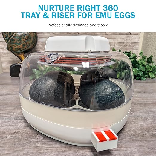 Egg Trays for Nurture Right 360 Egg Incubator (Various Sizes) (Extra Large w/Riser (Emu))