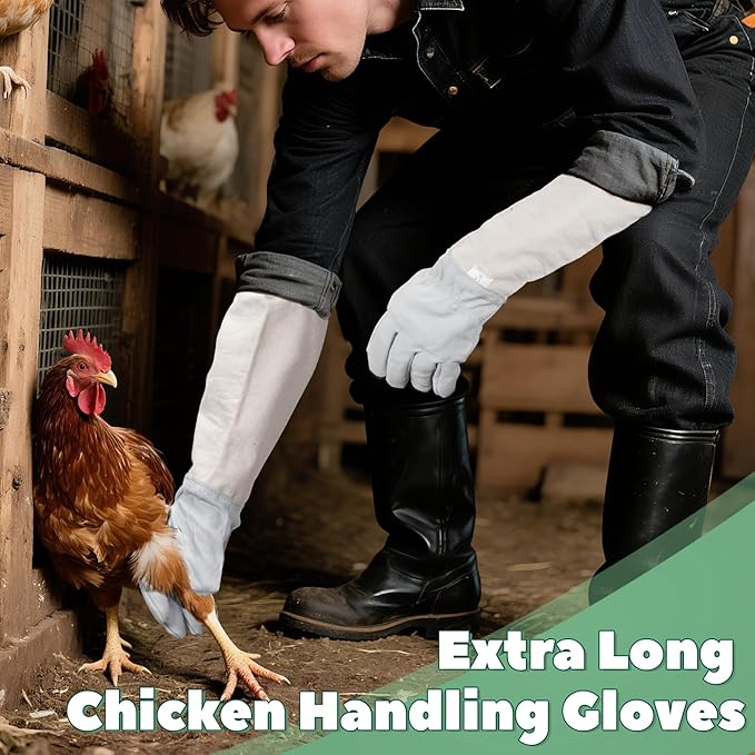 2 Pack Chicken Handling Gloves,Extra Long Scratch Proof Gloves for Chicken Handling,Puncture Resistant Glove for Prevent Chickens Scratch,Bite Proof Glove for Chickens,Bird,Cat