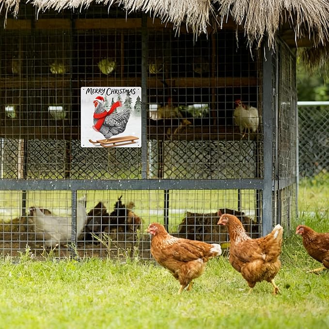 Funny Chicken Kitchen Decor Farmhouse Christmas Wall Decor Country Kitchen Decoration Gifts For Chicken Lover 8×8 Tin Sign