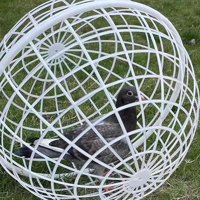 3 Pieces Ball-Shaped Movable Chicken Coop Chicken Balls Cage Farm Outdoor Rolling Bunny Duck Hutch Safe Walking Net Preventing Dog Bites Trampled by Horse