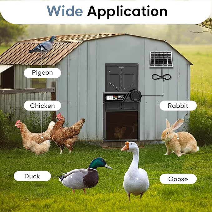 Large Size Automatic Chicken Coop Door Solar Powered Auto Chicken Door Opener, Timer Modes for Safe and Convenient Chicken Keeping with Intelligent Obstacle Sensors, Remote Control