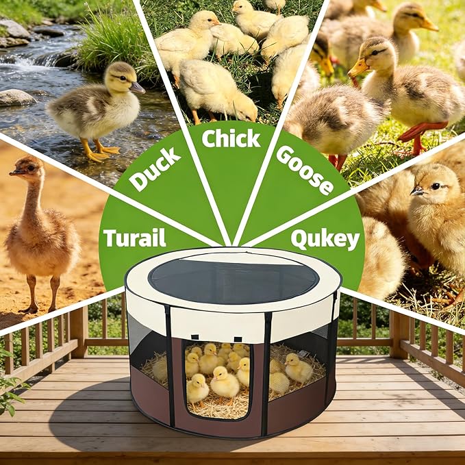 Brooder Box for Chicks, Chicken Brooder Playpen with Dual Door, Breathable Mesh Ventilation, Pop-Up Baby Chicken Pen Supplies Brooding Up to 15-20 Baby Chicks Ducks Quails