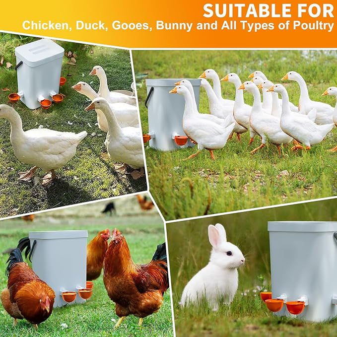 Chicken Water Cups 12 Pack, Automatic Filling Waterer Feeder Bowl, Gravity Poultry Watering System, Chicken Water Dispenser, Chicken Coop Accessories for Hens, Duck, Goose, Turkey (Orange)