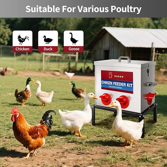 RYFT Chicken Feeder Box 40 Lbs-6 Feeding Port, Galvanized Metal No - Waste Poultry Feeder with Adjustable Legs & Locking Lid