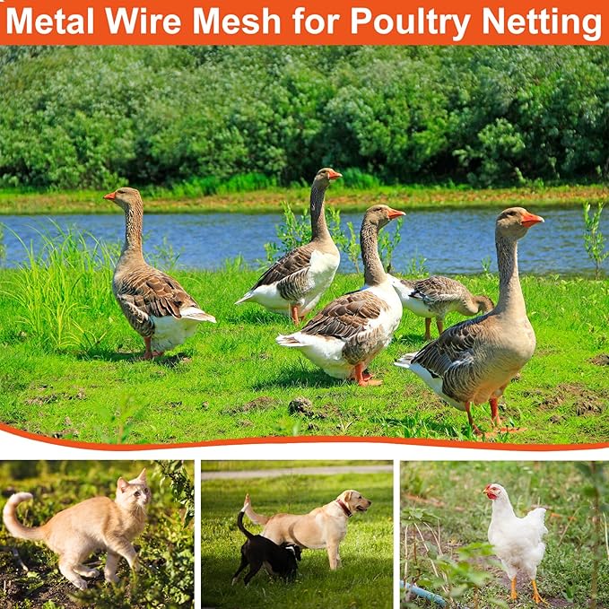 Wire Mesh Roll for Poultry Cages 36IN x50FT- Heavy Duty Fencing Net for Farm Garden Animal Plant Protection, Chicken Wire Fence, Easy to Install Fencing for Rabbits, Birds, Vegetables (Black)