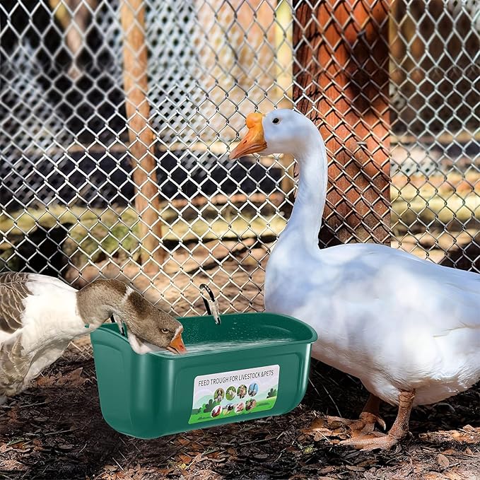 Chicken Feeder Waterer, 6 Pack Duck Feeder Supplies, Hanging Fence Feed Trough with Clips for Goat, Sheeple, Piglet, Gooses, Turkeys, Dog Livestock Poultry,Green