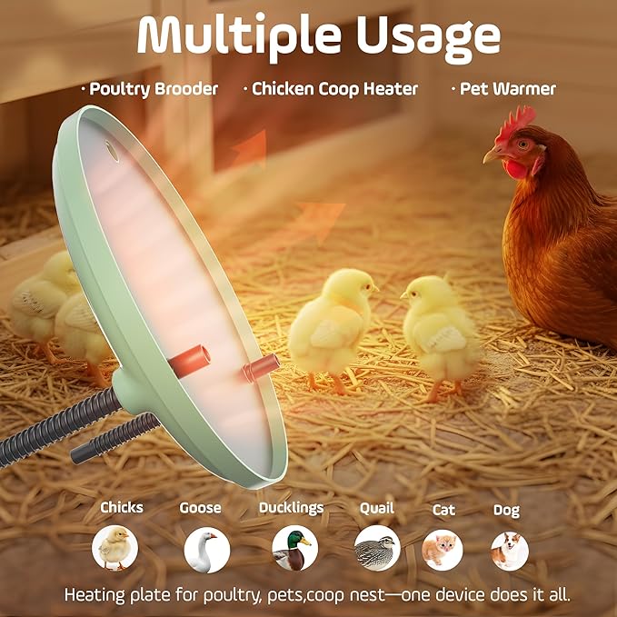 Chicken Brooder Heater, Adjustable Height &Temperature, 12" Metal Heating Plate, Easy Clean, Safe Use 35Watts Chick Warmer, Coop Heater, for Home Backyard Farm Warming Chicken Quail Duck Dog Cats